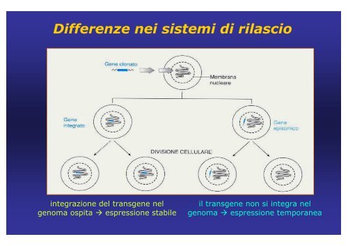 LEZIONE terapia genica pdf - Universita degli studi di Ferrara