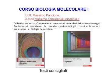 Acidi nucleici