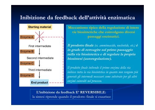 Le principali strategie di regolazione dell'espressione genica nei ...