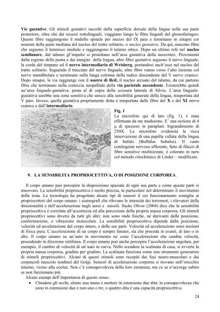 Sensazione percesione consapevolezza.pdf - Auditorium