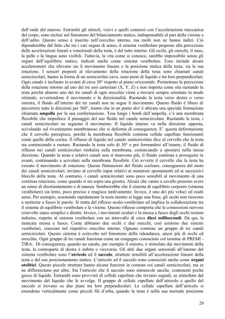 Sensazione percesione consapevolezza.pdf - Auditorium