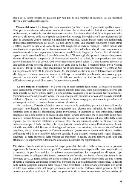 Sensazione percesione consapevolezza.pdf - Auditorium