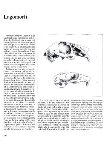 Lagoformi [file .pdf - 2,5 Mb] - SardegnaAmbiente