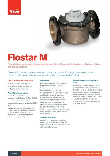 Flostar M - Itron