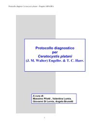 Protocollo diagnosi Ceratocystis platani.pdf - Strateco