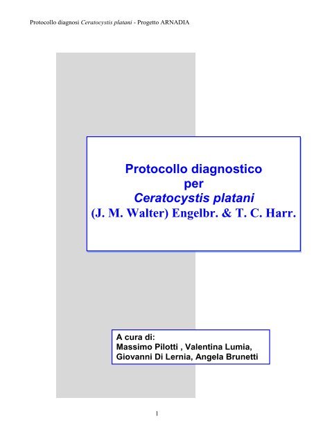 Protocollo diagnosi Ceratocystis platani.pdf - Strateco
