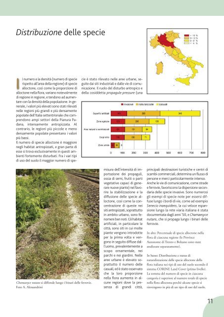 Le invasioni di specie vegetali in Italia - Dipartimento di biologia ...