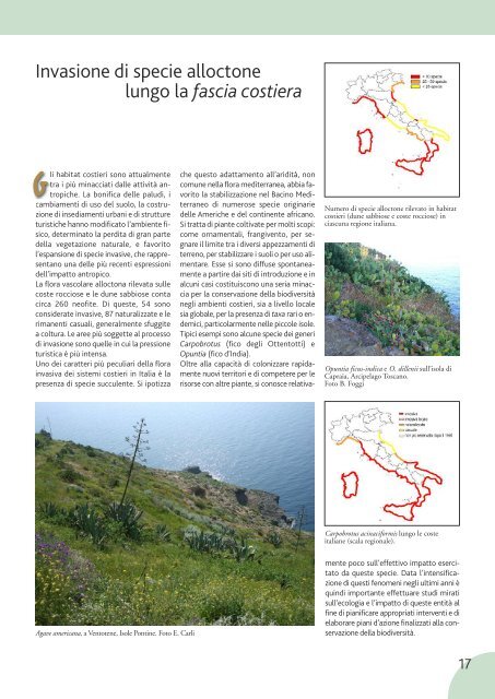 Le invasioni di specie vegetali in Italia - Dipartimento di biologia ...