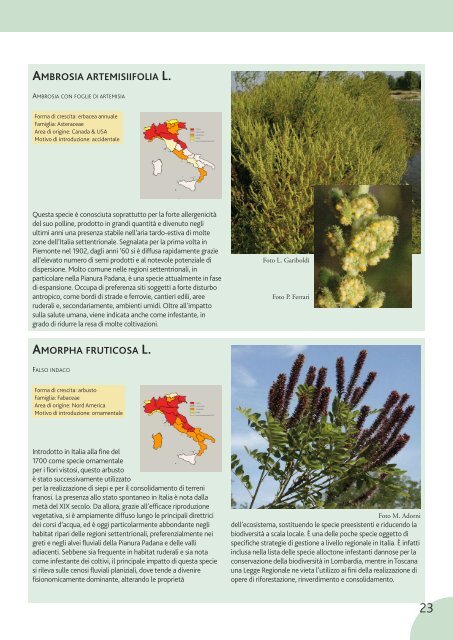 Le invasioni di specie vegetali in Italia - Dipartimento di biologia ...