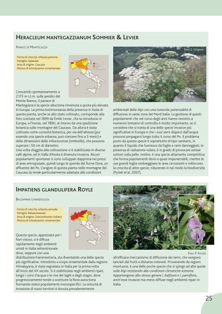 Le invasioni di specie vegetali in Italia - Dipartimento di biologia ...