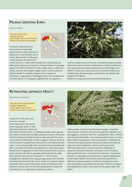 Le invasioni di specie vegetali in Italia - Dipartimento di biologia ...