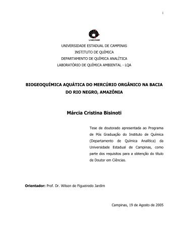 Márcia Cristina Bisinoti - Biblioteca do Instituto de Química - Unicamp