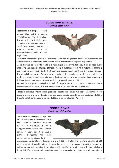 RELAZIONE DI PROGETTO - Parco delle Orobie Bergamasche