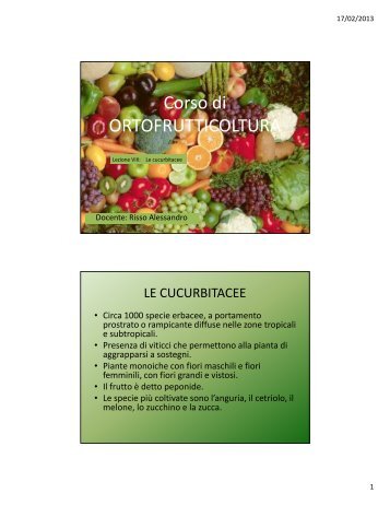 Lezione VIII: Le cucurbitacee - Agronomoeforestale.it