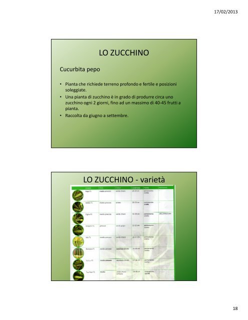 Lezione VIII: Le cucurbitacee - Agronomoeforestale.it