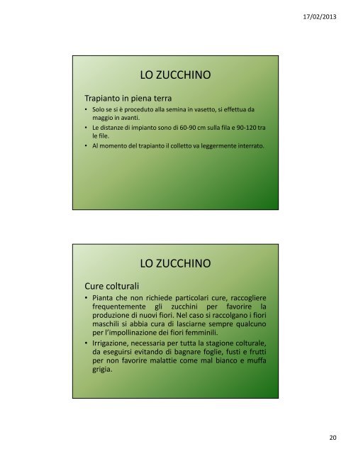 Lezione VIII: Le cucurbitacee - Agronomoeforestale.it