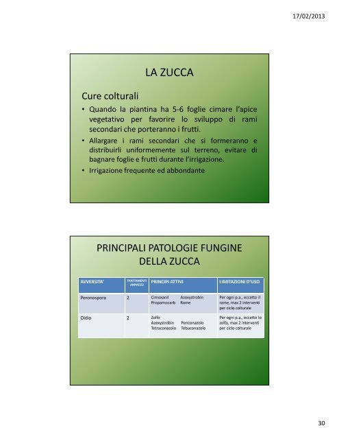 Lezione VIII: Le cucurbitacee - Agronomoeforestale.it