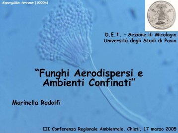 Funghi aereodispersi e ambienti confinati - ARTA Abruzzo