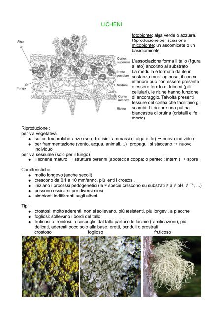 Maturo datazione solo prezzo