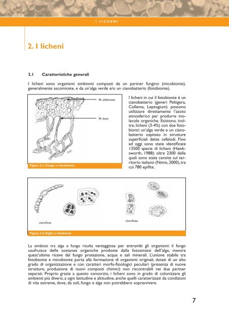 I.B.L. Indice di Biodiversità Lichenica - SIRA
