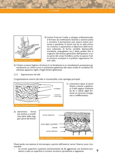 I.B.L. Indice di Biodiversità Lichenica - SIRA