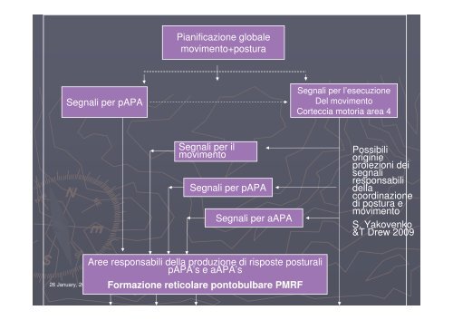 Il concetto Bobath nella pratica clinica