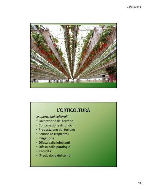 Lezione VI: La concimazione, i fitofarmaci, introduzione all'orticoltura