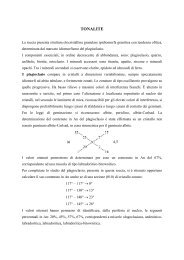 Esempi Relazione - Dipartimento di Geoscienze