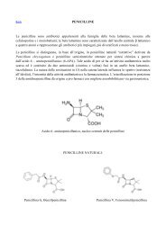 PENICILLINE Le penicilline sono antibiotici appartenenti alla ...