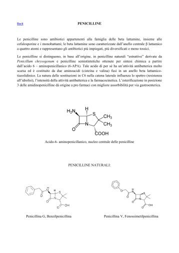 PENICILLINE Le penicilline sono antibiotici appartenenti alla ...