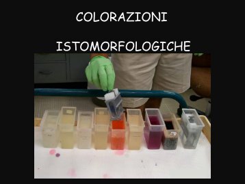 colorazione ematossilina/eosina (ee) - Università degli Studi di ...