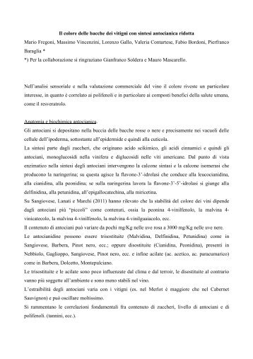 SG NB Fregoni-1.pdf - Città del Vino