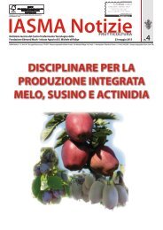 Download IASMA NOTIZIE FRUTTICOLTURA n. 4 - d.d. 23.05.2013