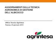 albicocco - Agrintesa