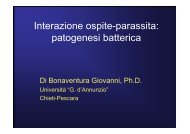 11 MEDICINA - patogenesi batterica [modalità ... - Ch.unich.it