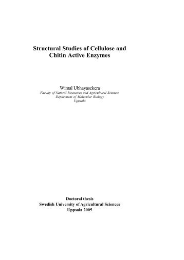 Structural Studies of Cellulose and Chitin Active Enzymes