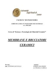 MEMBRANE E BRUCIATORI CERAMICI - Antonio.licciulli.unile.it