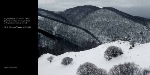 La Biodiversità del Terminillo - Lynx - Natura & Ambiente