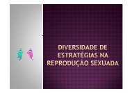 Diversidade de estratégias na reprodução sexuada