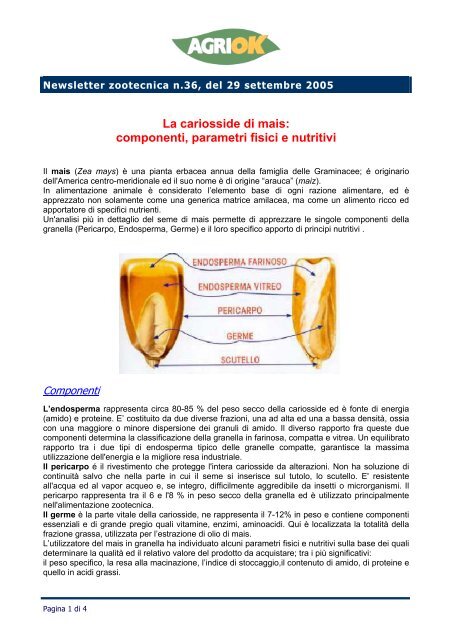 La cariosside di mais: componenti, parametri fisici e nutritivi