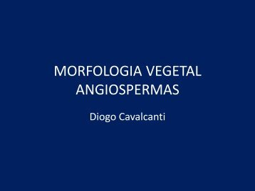 MORFOLOGIA VEGETAL ANGIOSPERMAS - Biologia na Dose Certa!