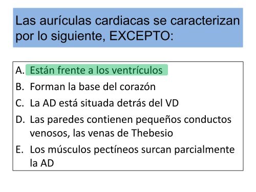 1.1-Anatomia del corazon y grandes vasos(modificado