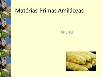 Aula 3-MP amiláceas milho.pdf - Webnode