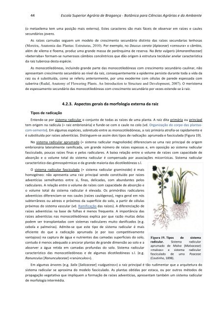 2013 1º Vol Morfologia e função Fasc I.pdf - Biblioteca Digital do IPB ...