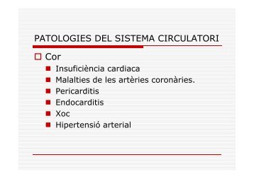 Les malaties del sistema circulatori