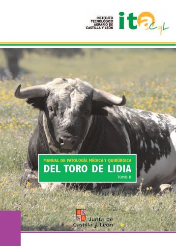 Centro Etnográfico del Toro de Lidia