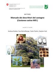Manuale dei descrittori del castagno (Castanea sativa Mill.)