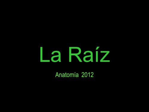 La Raíz