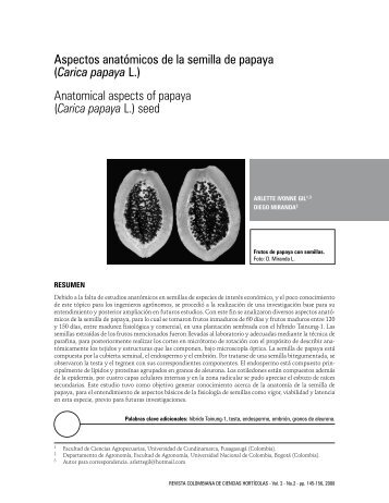 Aspectos anatómicos de la semilla de papaya - Sociedad ...