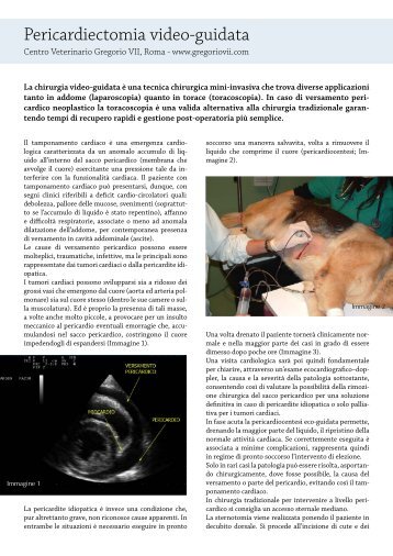 Pericardiectomia video-guidata - Ospedale Veterinario Gregorio VII